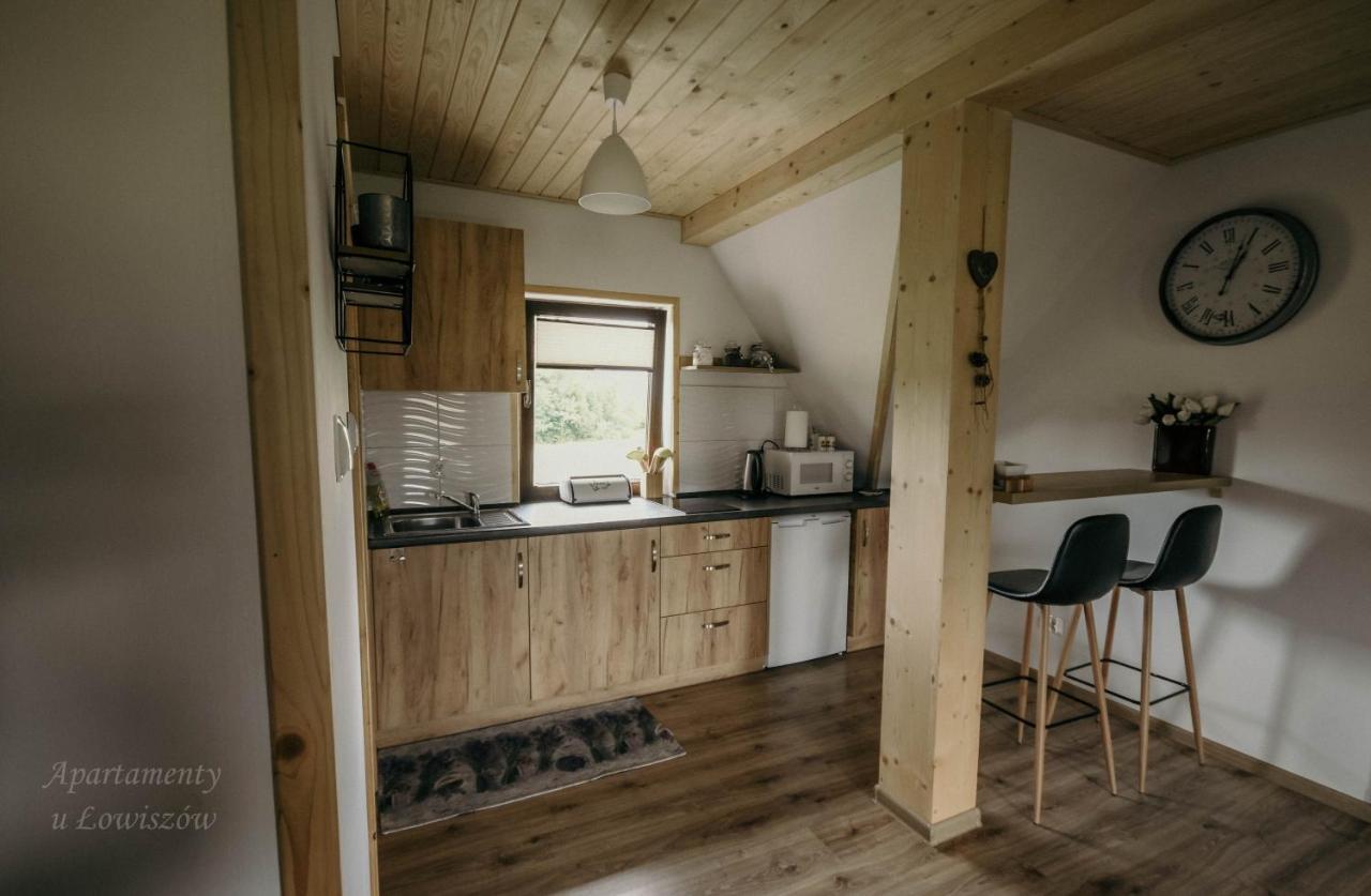 Apartament U Lowiszow Witów 외부 사진
